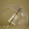 Pois Cuivrés Transparent Dome Umbrella In Gold
