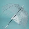 Pois Argentés Transparent Dome Umbrella In Silver