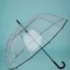Transparent Dome Umbrella In Black 1 Transparent Dome Umbrella In Black -King Louie Shop 221644 So Rainy 43698 Paraplu Black Rainy 20220511 605 W category