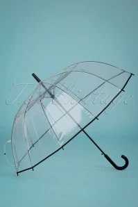 Transparent Dome Umbrella In Black