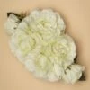 Olive May Hairflower In White -King Louie Shop 242000 Lady Luck 47060 Hairclip White Rose 230502 403 category