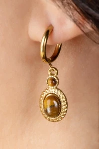 Double Stone Drop Earrings In Tiger Eye