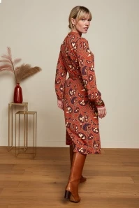 King Louie Phoebe Cecilia Dress In Spicy Brown 4 King Louie Phoebe Cecilia Dress In Spicy Brown - Image 2