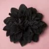 50s Flower Hair Clip & Brooch In Black -King Louie Shop 43636 From Paris with Love Broche Hairclip Black Flower 200 10 13372 20140607 0002W category